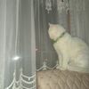 fatma.ereli2