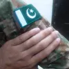 ali.ansar500