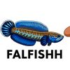 fallfish1