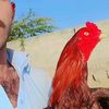 muzamil.baloch650