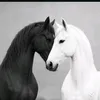 amirakita5