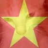 ngoc_yen115