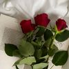 hajer.mahmoud393