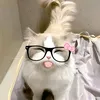 ziggycantsprint