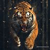 mr.blacktiger20