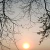 tuhinatalukder2