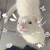 queennk62