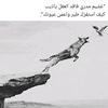 abu.fandy.rabie
