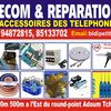 bridge_telecom_1