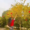 huyenhuynh791