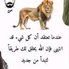 djalal3704
