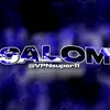 salom_metagei