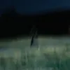 error_9242