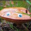 fooglasboigals