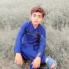 rai.meesam.mumtaz