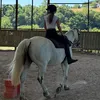 j.horses3