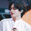 tulip._.nini