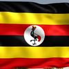 256🇺🇬 Trending update