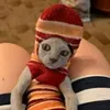 sockcat52