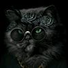 khaledalraae5