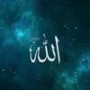 zaenab112233