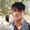 shahfiroozshahgmail.com