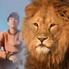 josephcm123