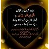 qalababbas714gmail