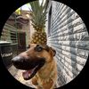 holdenbasileluvsrocky