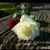 douha308