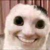 xpz_reis77