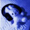 blueberryking_247