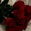 ayla.aylaa06