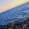 user_2025wtefat