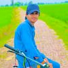 alimr904