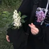 zar_ui