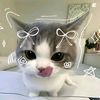 lily_icha2107