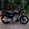 dario.miranda258