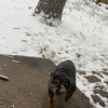 otis0638