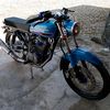 celeng_435