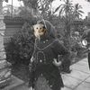 no_bionyet23