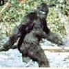 bigfoot_ben