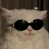 biggie_man445