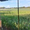 ahmadiqbalnugrah0