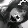 camilita.mq0