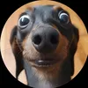 fcdonhathoang2