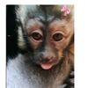 aly_ps04