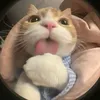 uhuhuhuh3116