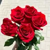 farhadslivanay3