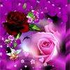 medine7427